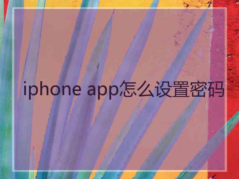 iphone app怎么设置密码