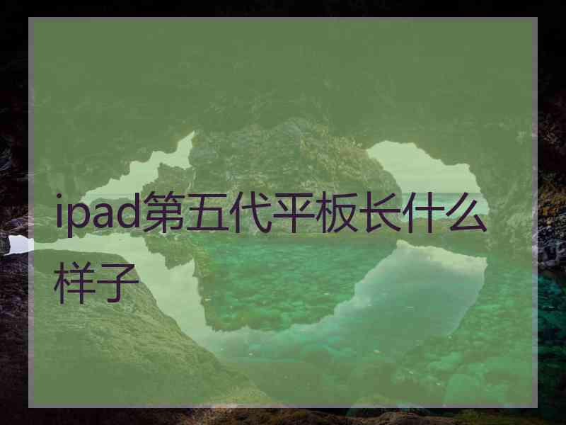 ipad第五代平板长什么样子