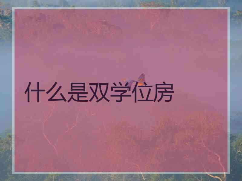 什么是双学位房