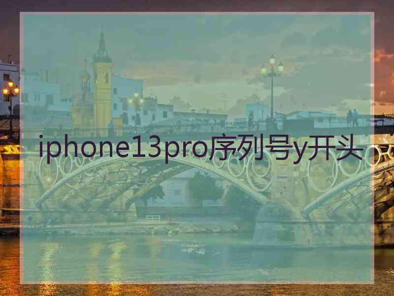 iphone13pro序列号y开头