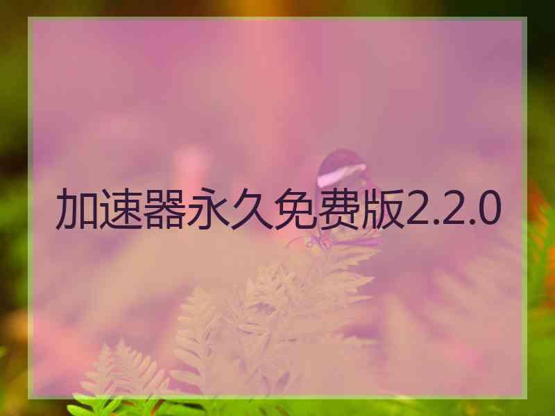 加速器永久免费版2.2.0