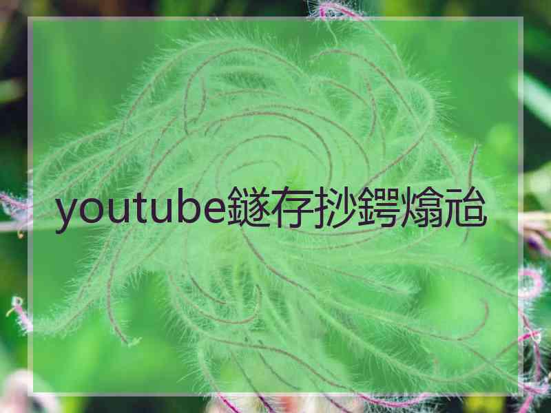 youtube鐩存挱鍔熻兘