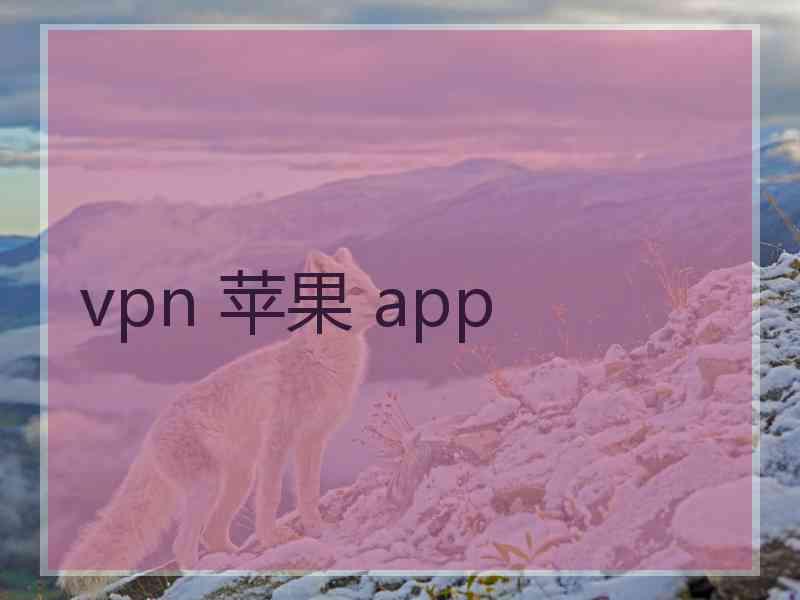 vpn 苹果 app