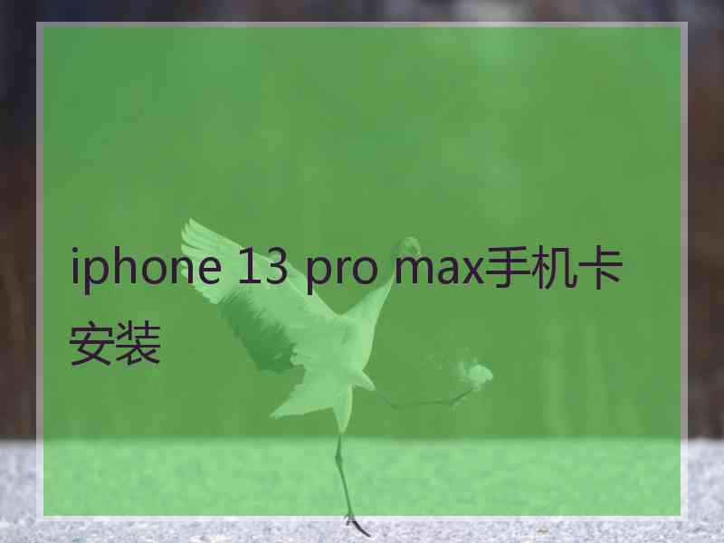 iphone 13 pro max手机卡安装