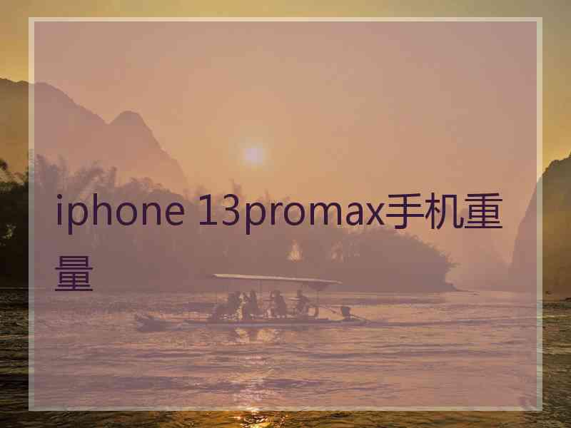 iphone 13promax手机重量