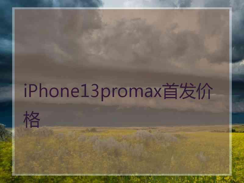 iPhone13promax首发价格