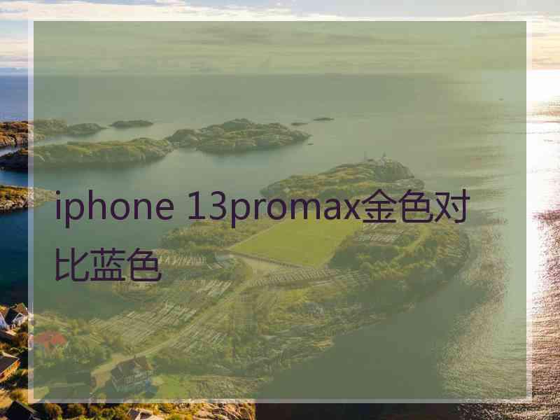 iphone 13promax金色对比蓝色