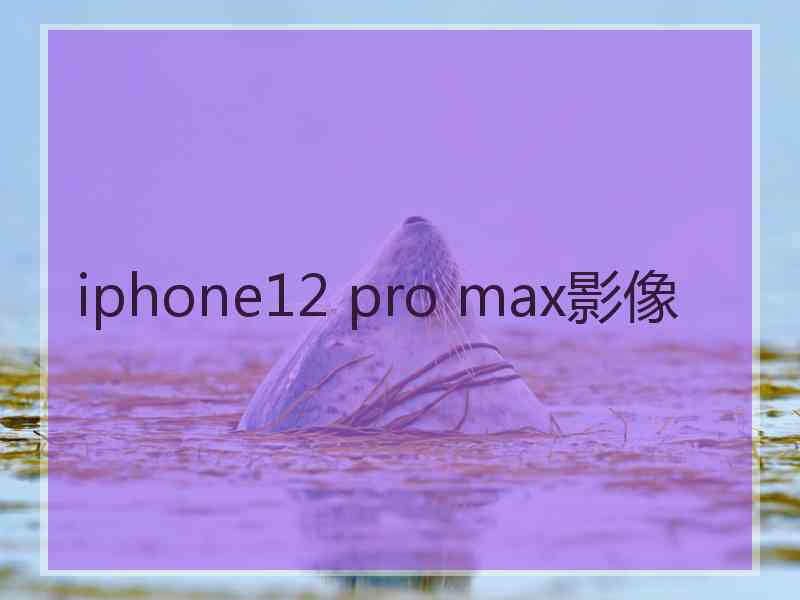 iphone12 pro max影像