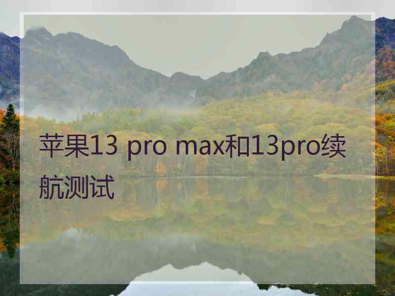 苹果13 pro max和13pro续航测试