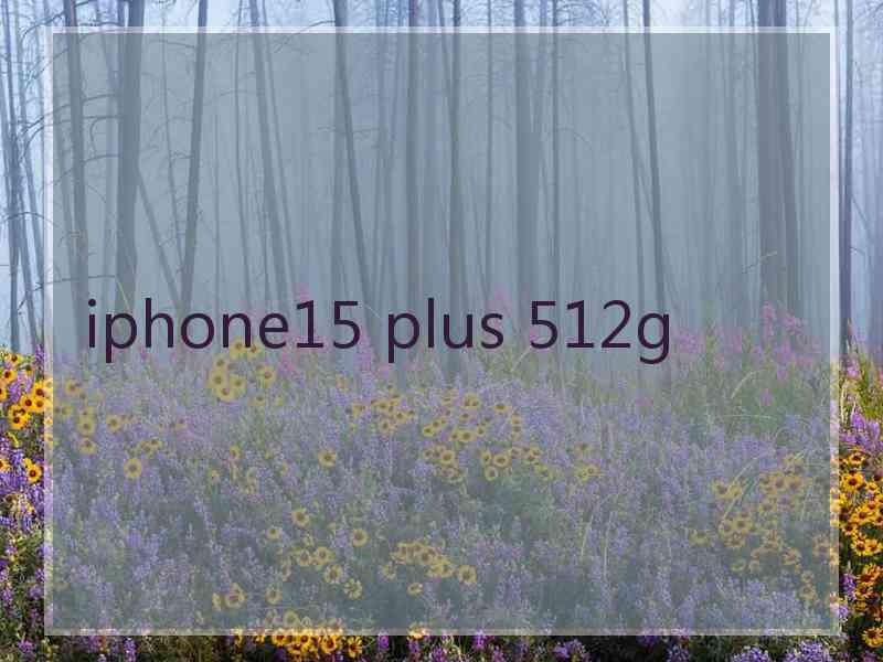 iphone15 plus 512g