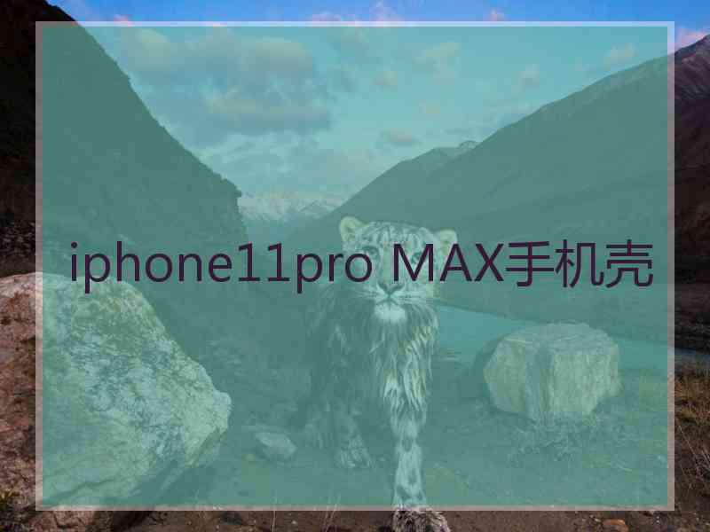 iphone11pro MAX手机壳