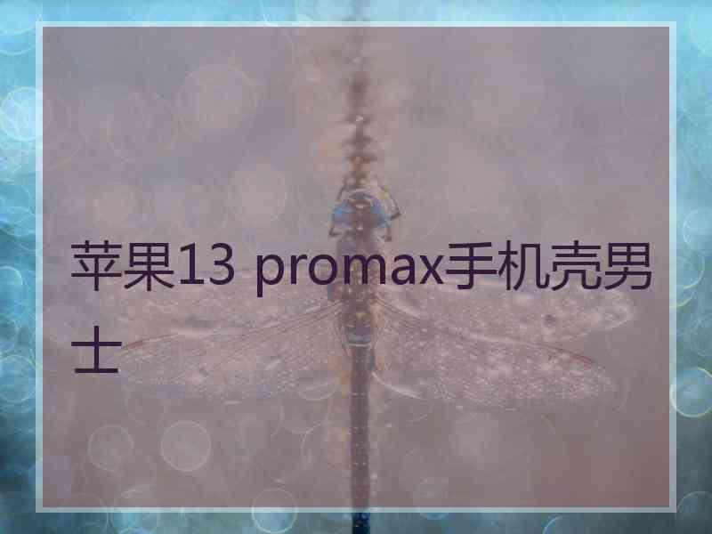 苹果13 promax手机壳男士