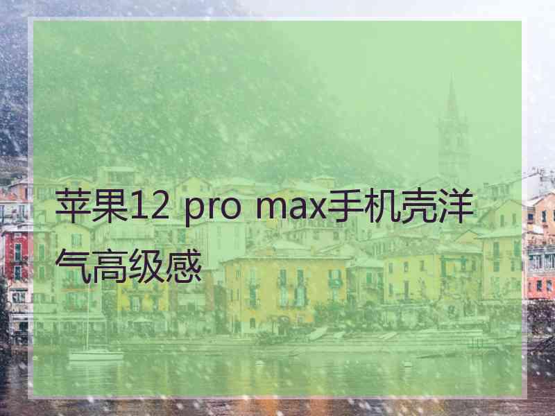 苹果12 pro max手机壳洋气高级感