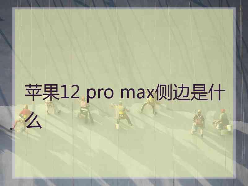 苹果12 pro max侧边是什么