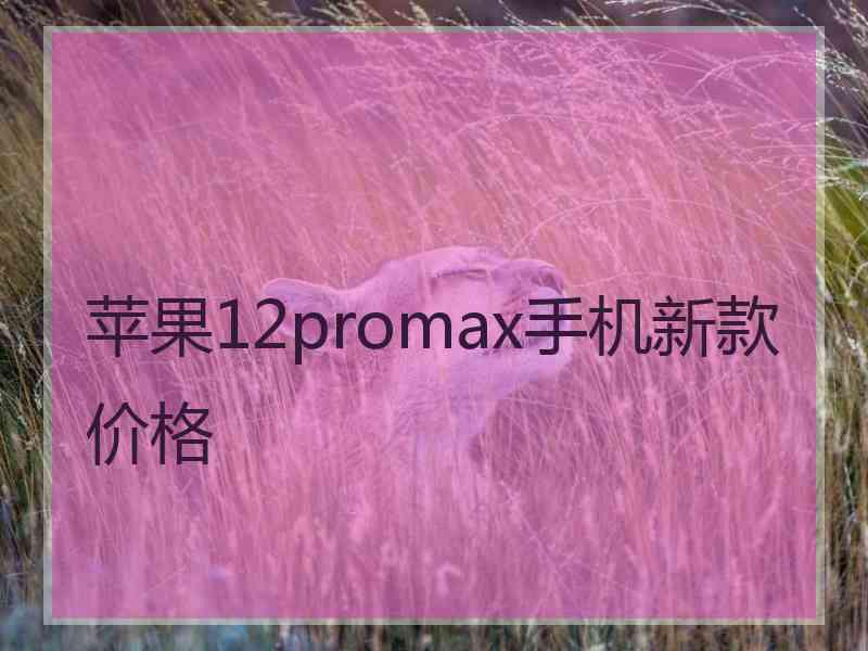 苹果12promax手机新款价格