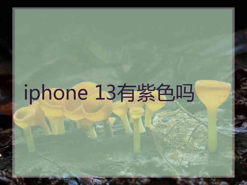 iphone 13有紫色吗