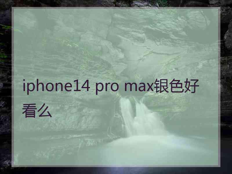 iphone14 pro max银色好看么