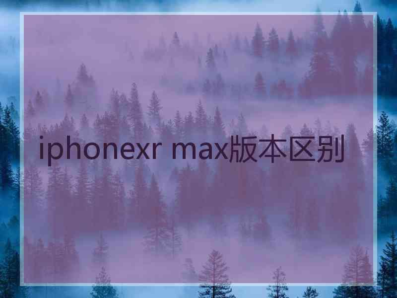 iphonexr max版本区别