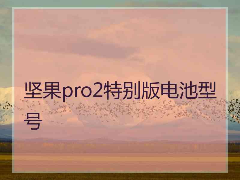 坚果pro2特别版电池型号