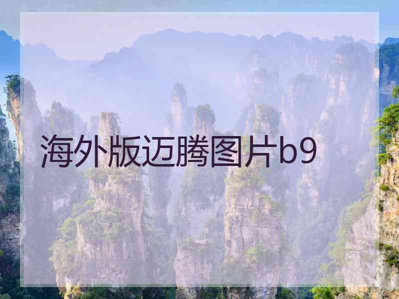 海外版迈腾图片b9