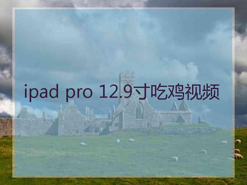 ipad pro 12.9寸吃鸡视频