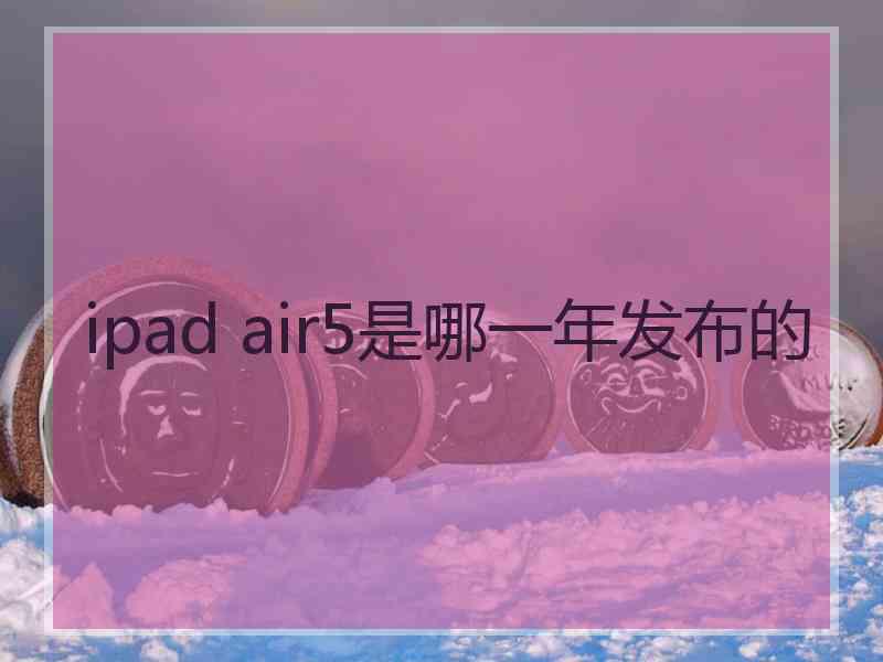 ipad air5是哪一年发布的