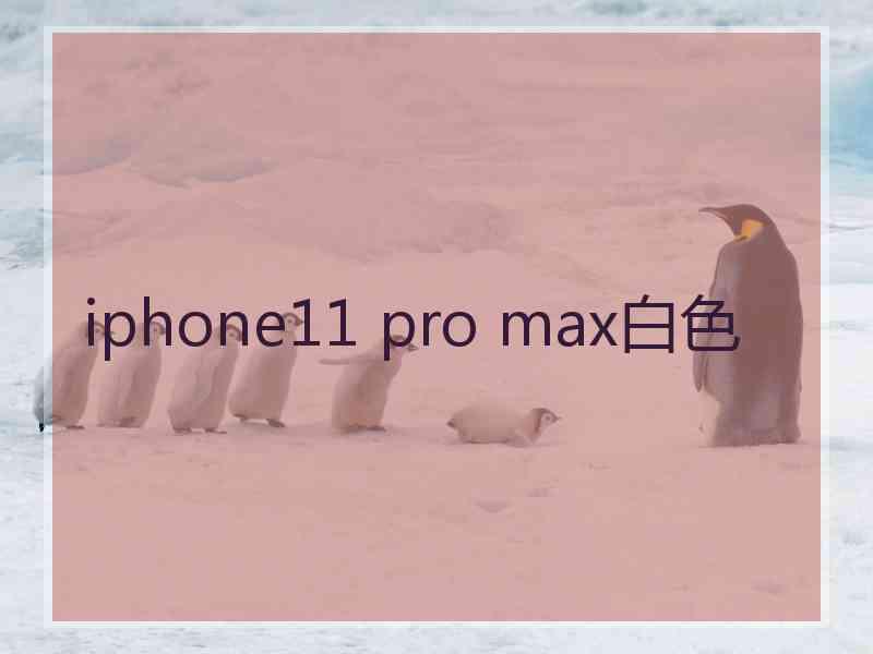 iphone11 pro max白色