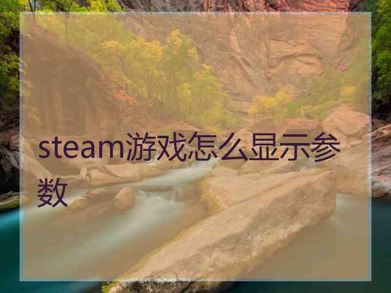 steam游戏怎么显示参数