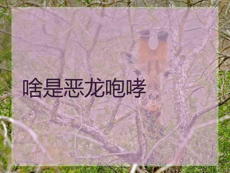 啥是恶龙咆哮