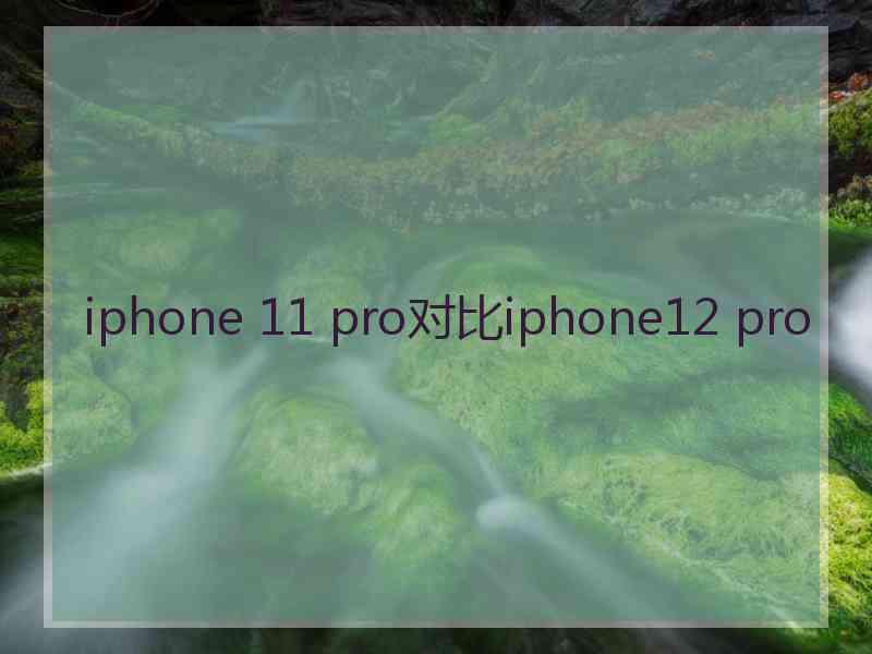 iphone 11 pro对比iphone12 pro