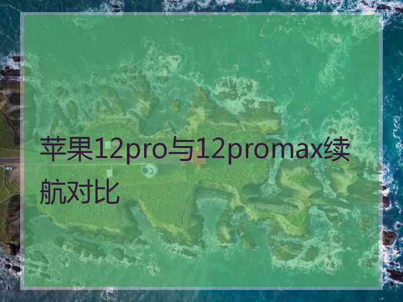 苹果12pro与12promax续航对比