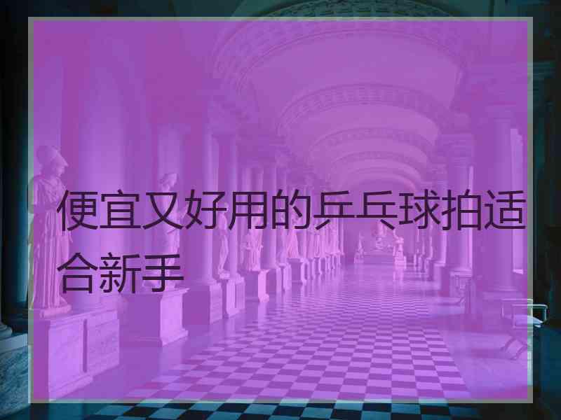 便宜又好用的乒乓球拍适合新手