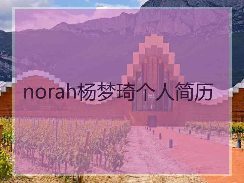 norah杨梦琦个人简历