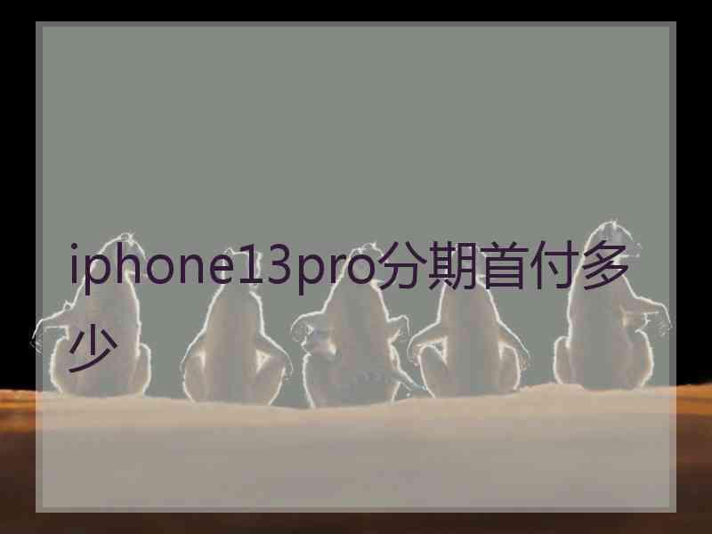 iphone13pro分期首付多少