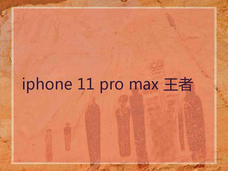 iphone 11 pro max 王者