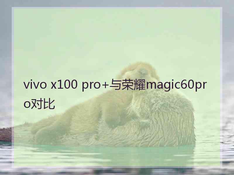 vivo x100 pro+与荣耀magic60pro对比