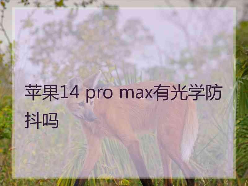 苹果14 pro max有光学防抖吗