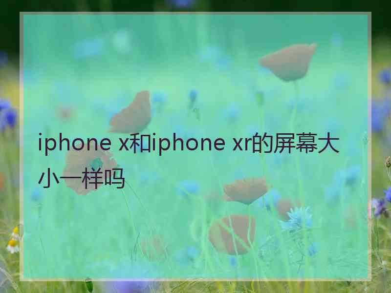 iphone x和iphone xr的屏幕大小一样吗