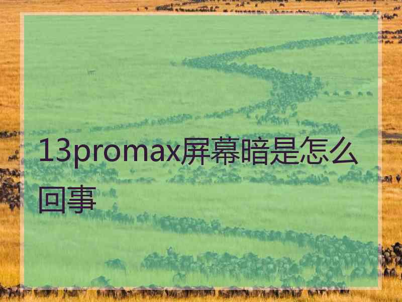 13promax屏幕暗是怎么回事