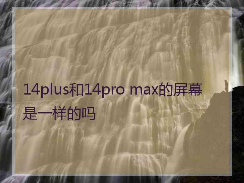 14plus和14pro max的屏幕是一样的吗