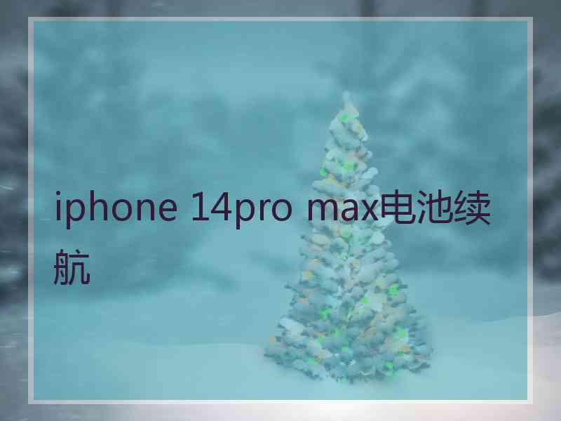 iphone 14pro max电池续航