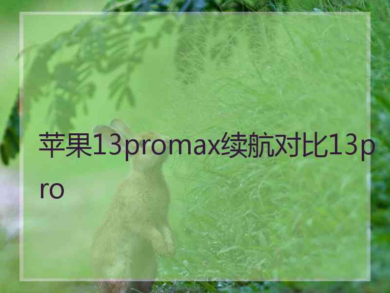 苹果13promax续航对比13pro