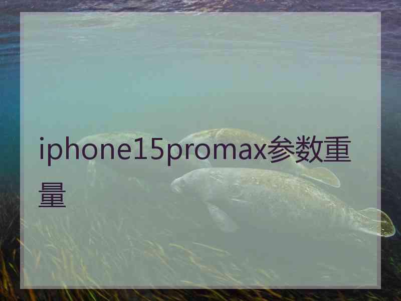 iphone15promax参数重量