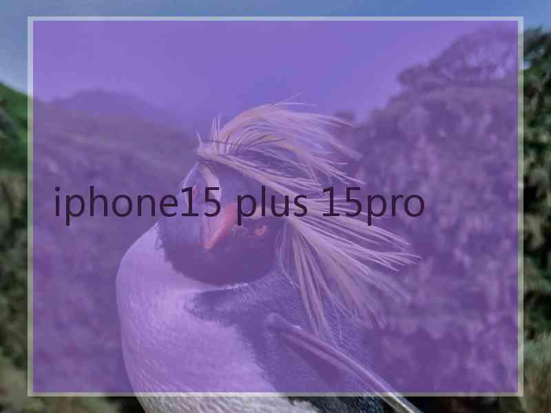 iphone15 plus 15pro