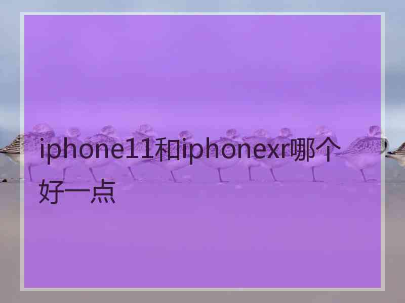 iphone11和iphonexr哪个好一点