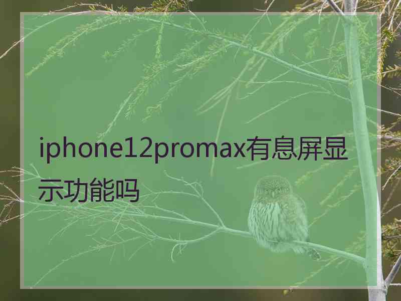 iphone12promax有息屏显示功能吗