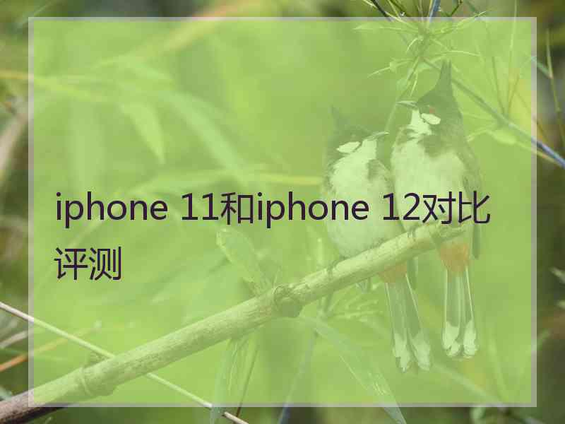 iphone 11和iphone 12对比评测