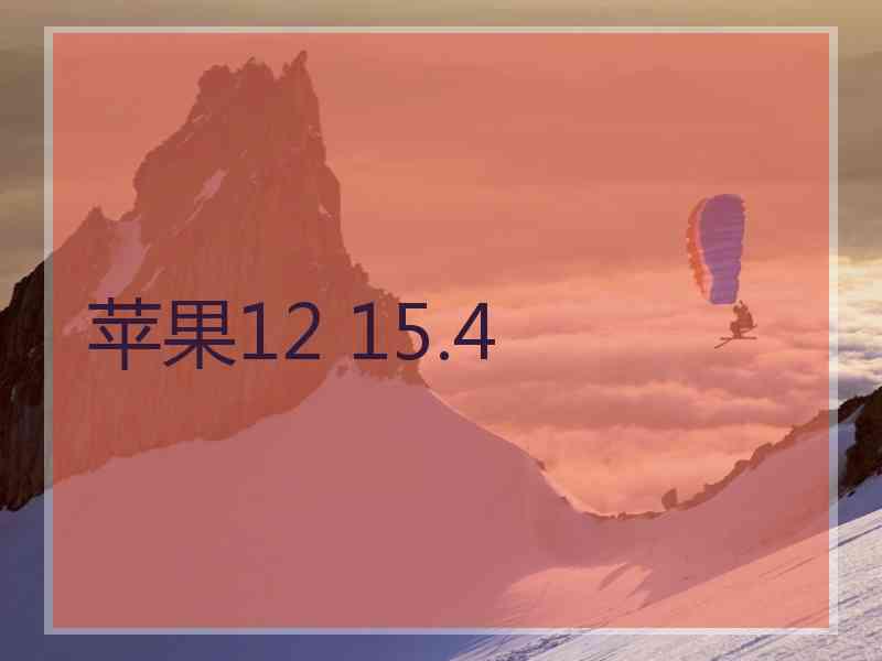 苹果12 15.4