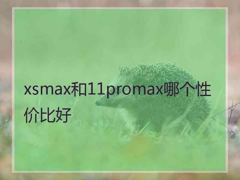 xsmax和11promax哪个性价比好