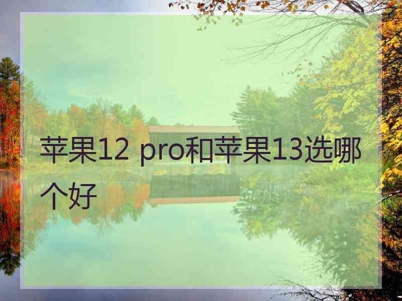 苹果12 pro和苹果13选哪个好